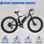 ECOTRIC Cheetah 500W Fat Tire Electric Bike