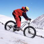 PEXMOR 750W Electric Fat Tire Mountain Bike