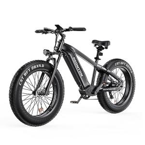 Asomtom 750W Electric Mountain Bike with Fat Tires