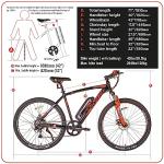Swifty AT650 Electric Bike - Black and Orange