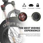Asomtom 750W Electric Mountain Bike with Fat Tires