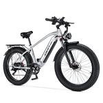 SWIFT PRO 750W Electric Mountain Bike for Adults