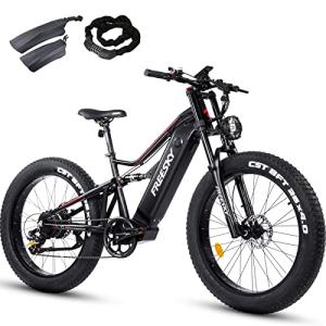 FREESKY 1000W Electric Bike with Fat Tires