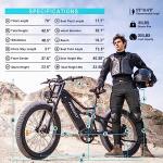 FREESKY 1000W Electric Bike with Fat Tires