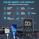FREESKY 1000W Electric Bike with Fat Tires