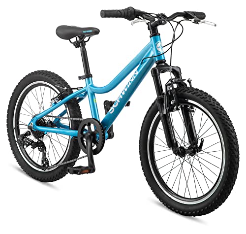 Schwinn High Timber Mountain Bike - 20" Wheels