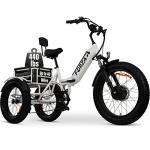 Malisa Electric Adult Tricycle with 750W Motor