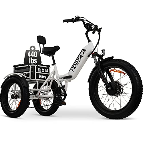 Electric Tricycle with 750W Motor & 40+ Mile Range