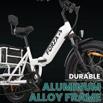 Malisa Electric Adult Tricycle with 750W Motor