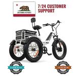 Malisa Electric Adult Tricycle with 750W Motor