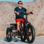 Malisa Electric Adult Tricycle with 750W Motor