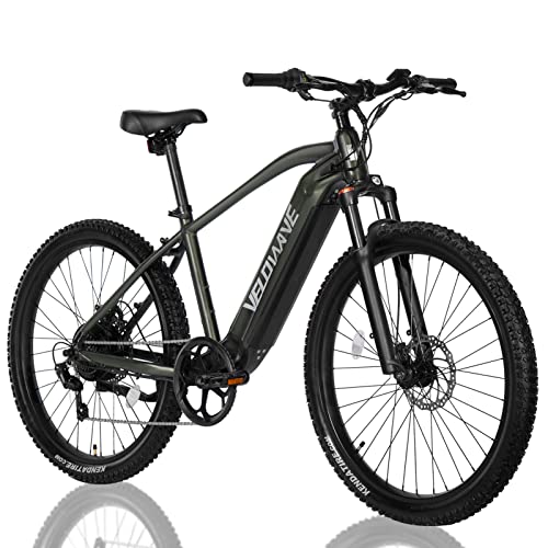 Electric Mountain Bike with 500W Motor