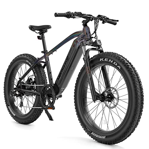 750W Electric Fat Tire Mountain Bike