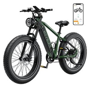 Heybike Brawn Green Electric Mountain Bike