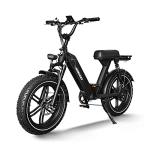 Himiway Escape Pro 20" E-Mountain E-Bike