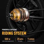Heybike Ranger 500W Foldable Electric Bike for Adults