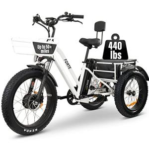 Electric Tricycle with Big Wheels, Long Range, 750W Motor