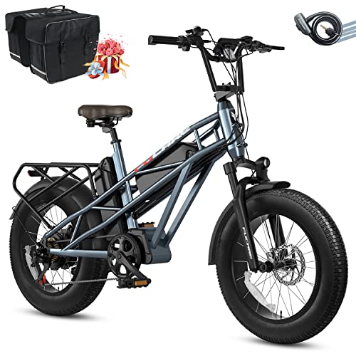 Cargo eBikes