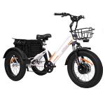 DWMEIGI 3-Wheel Electric Bike with 750W Motor