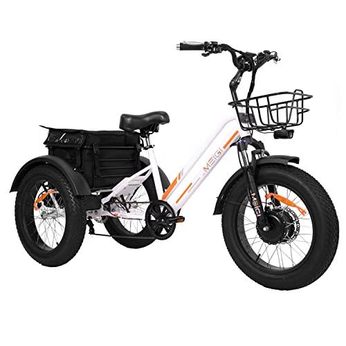 Electric tricycle with fat tires and basket