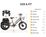DWMEIGI 3-Wheel Electric Bike with 750W Motor