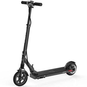 Wheelspeed 8” Electric Scooter with 350W Motor