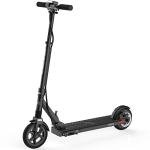 Wheelspeed 8” Electric Scooter with 350W Motor