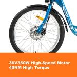 Adult Electric Tricycle with Removable Battery and Basket