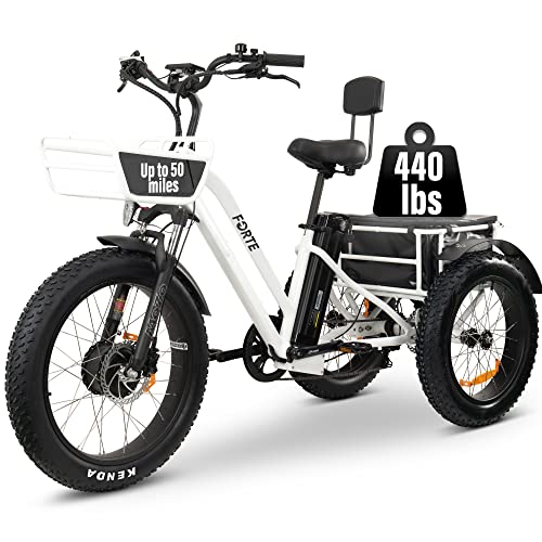 Electric Tricycle with Big Wheels, Long Range, 750W Motor