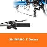 Adult Electric Tricycle with Removable Battery and Basket