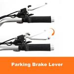 Adult Electric Tricycle with Removable Battery and Basket