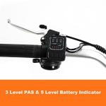 Adult Electric Tricycle with Removable Battery and Basket