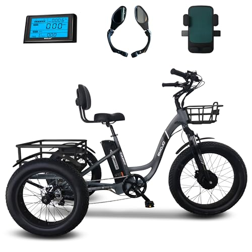 Emojo Electric Fat Tire Tricycle Hybrid Bike