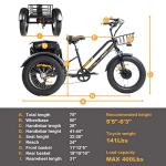 DWMEIGI 3-Wheel Electric Bike with 750W Motor