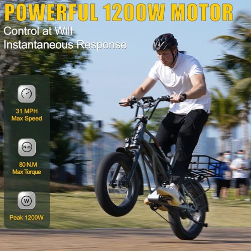 Gemini X 750W Electric All-Terrain Bike