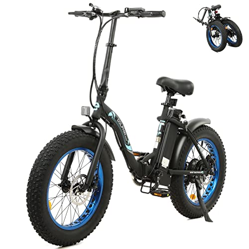 ECOTRIC Foldable Electric Bike with Fat Tires