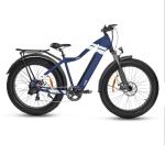 EZ BREEZE Electric Bike with Removable Battery 750W