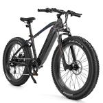 VELOWAVE Adults Electric Mountain Bike 1200W