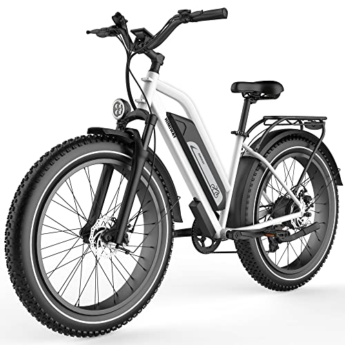 Himiway Cruiser Fat Tire Electric Bike