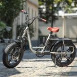 VELOWAVE 750W Step-Thru Electric Bike for Adults