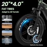 VELOWAVE 750W Electric Bike with Fat Tires