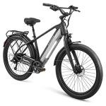 Schwinn Coston DX Electric Bike for Adults