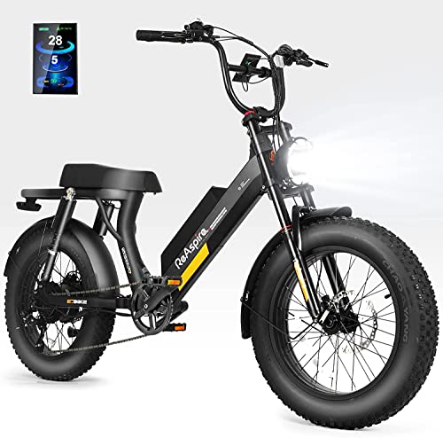 FIOTAS ReAspire Electric Bikes for Adults, 750W BAFANG Motor, 48V 20.1/16.7Ah Battery & 65 Miles Range Dirt E Bikes with 4.0 LCD Display 20'' Fat Tire Commuter with Removable Battery