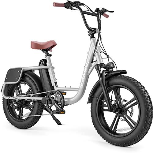 Electric Bikes