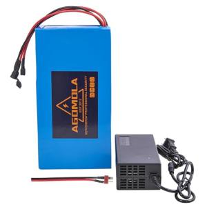 48V Lithium Ebike Battery Kit with Charger