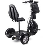 MotoTec Electric Trike 48v 1000w Lithium, Black, Large