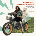 ECOTRIC Electric Tricycle for Adults,Fat Tire 750W 48V 22.4AH Removable Battery, 7 Speeds Adult Electric Tricycle with Basket