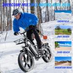 20" Fat Tire Folding Electric Bike, 1000W Motor