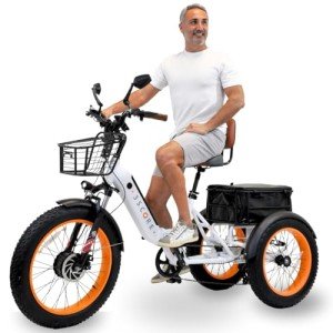 3SCORE Electric Fat Trike 750W Motor and 48V Lithium Rechargeable Battery - Foldable Electric Tricycle - Etrike 24 Inch Fat Tire (Royal White 1 X Battery Pack, Fat Tire)