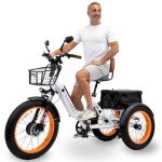 3SCORE Electric Fat Trike 750W Motor and 48V Lithium Rechargeable Battery - Foldable Electric Tricycle - Etrike 24 Inch Fat Tire (Royal White 1 X Battery Pack, Fat Tire)